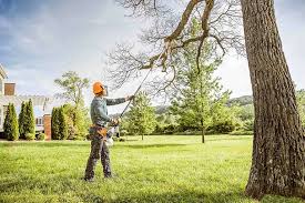 Best Storm Damage Tree Cleanup  in East Palatka, FL