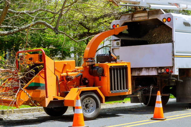  East Palatka, FL Tree Services Pros